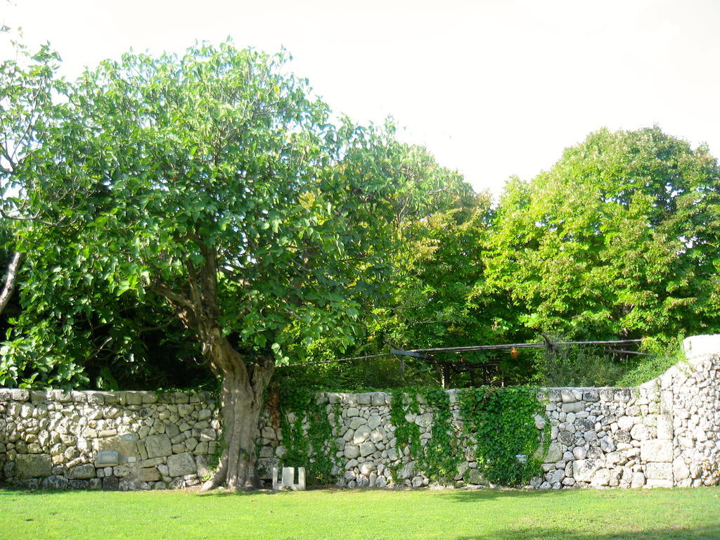 Tenuta Sant'Andrea Giuggianello Kültér fotó